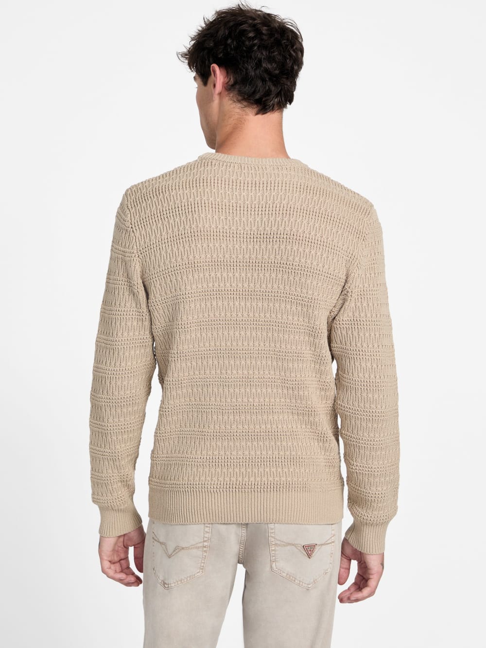 Eco Jeff Stitched Sweater - Guess