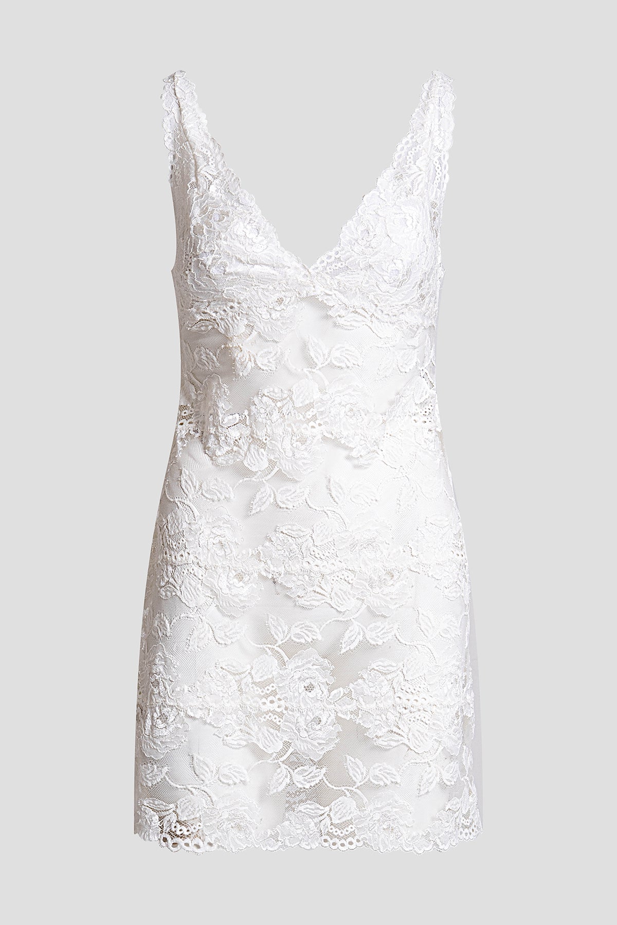 NATORI Buy Imagine Allover Lace Chemise in Warm White Online