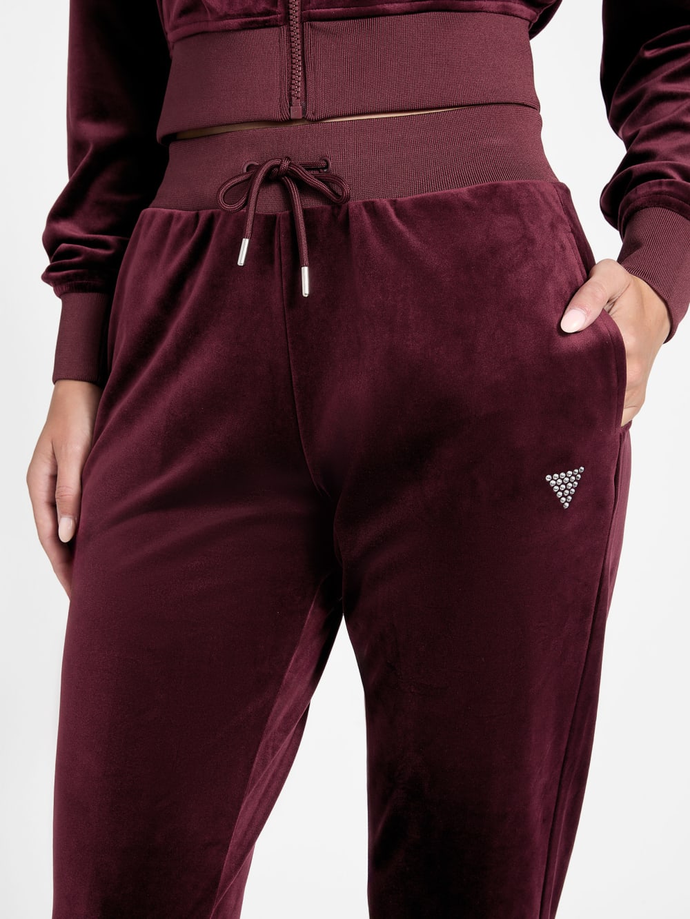 Couture Velvet Jogger Pants - Guess