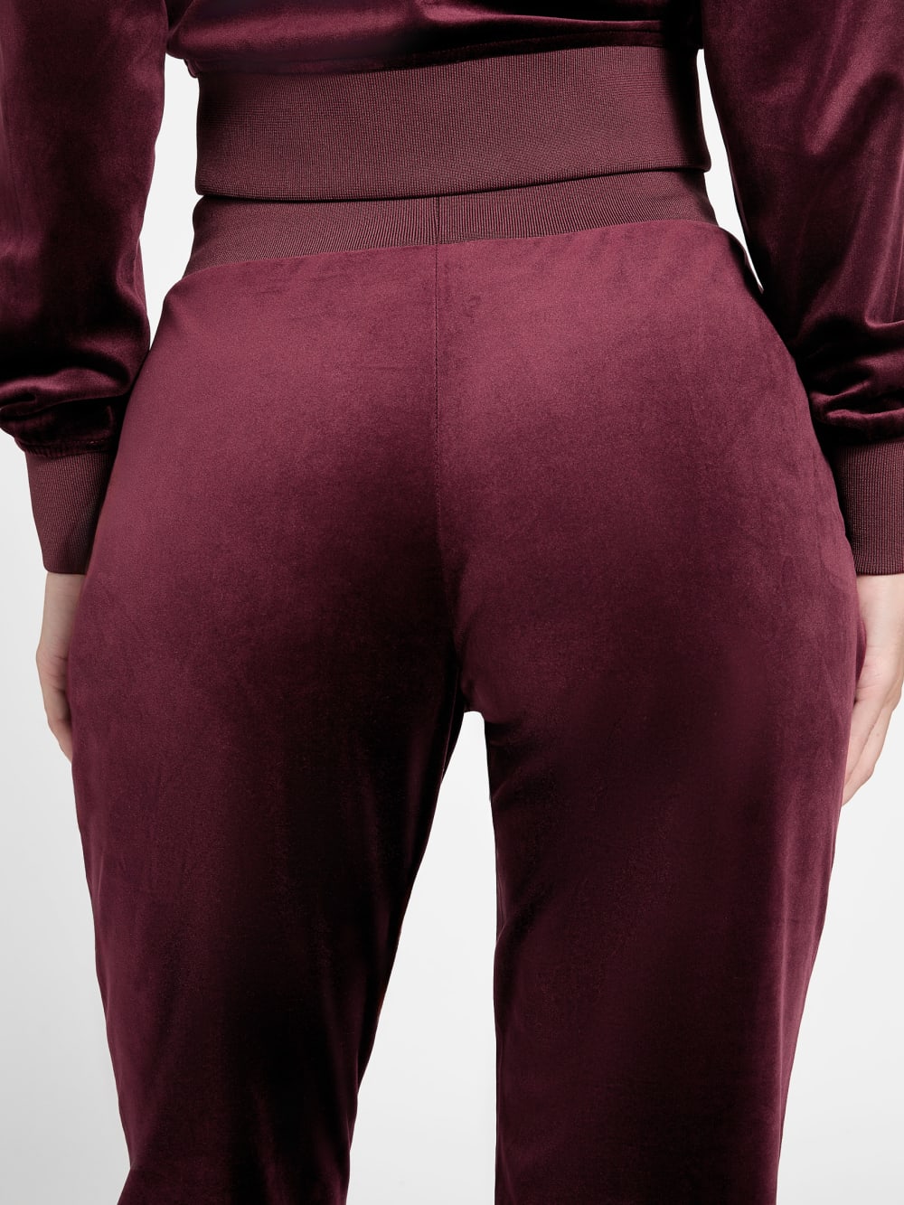 Couture Velvet Jogger Pants - Guess