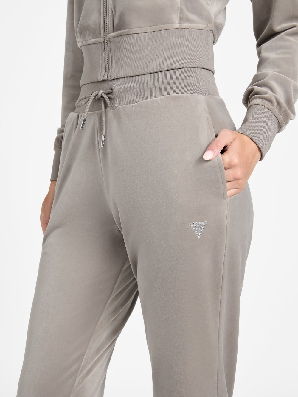 Couture Velvet Jogger Pants - Guess