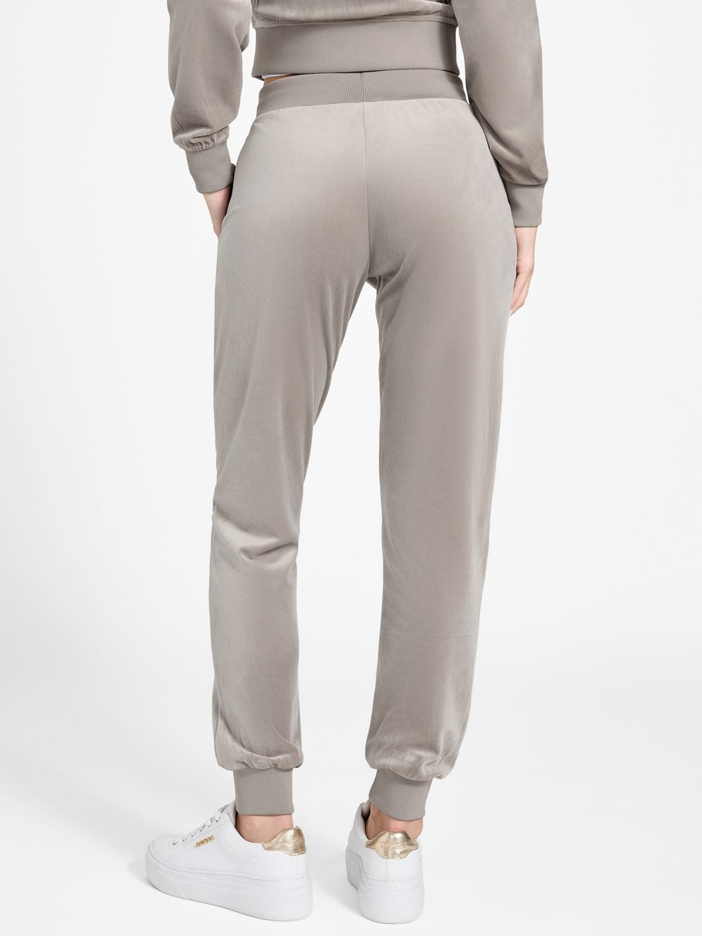 Couture Velvet Jogger Pants - Guess