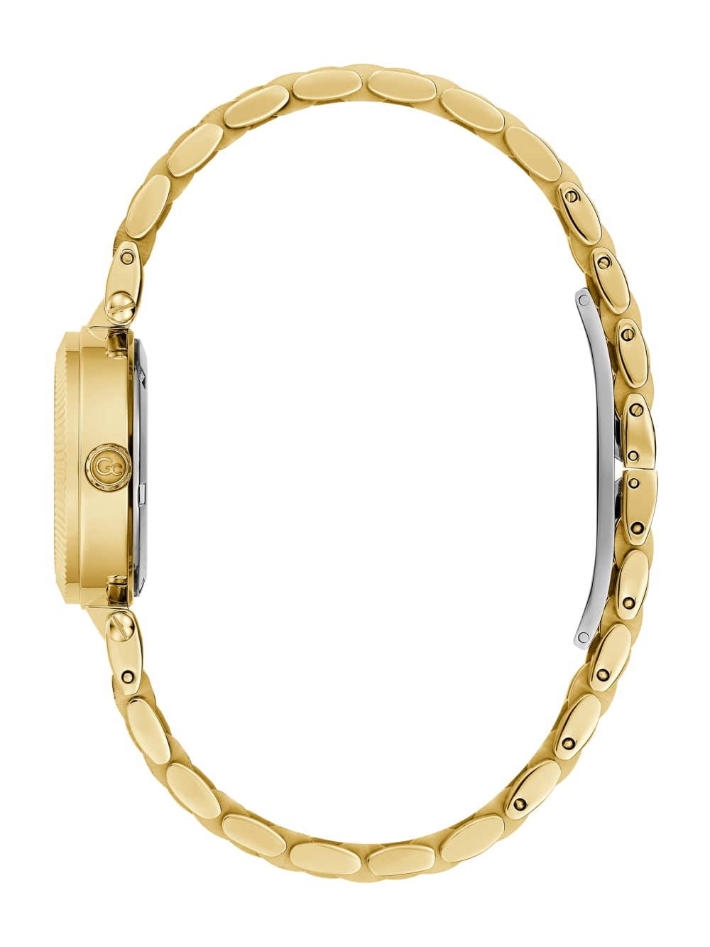Gc Tiger's Eye Gemstone Analog Watch - Guess