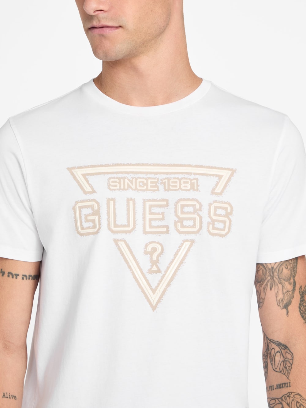 Eco Painted Triangle Tee - Guess