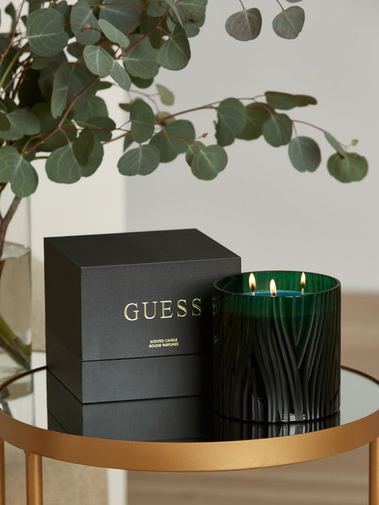 Zebra Candle - Guess