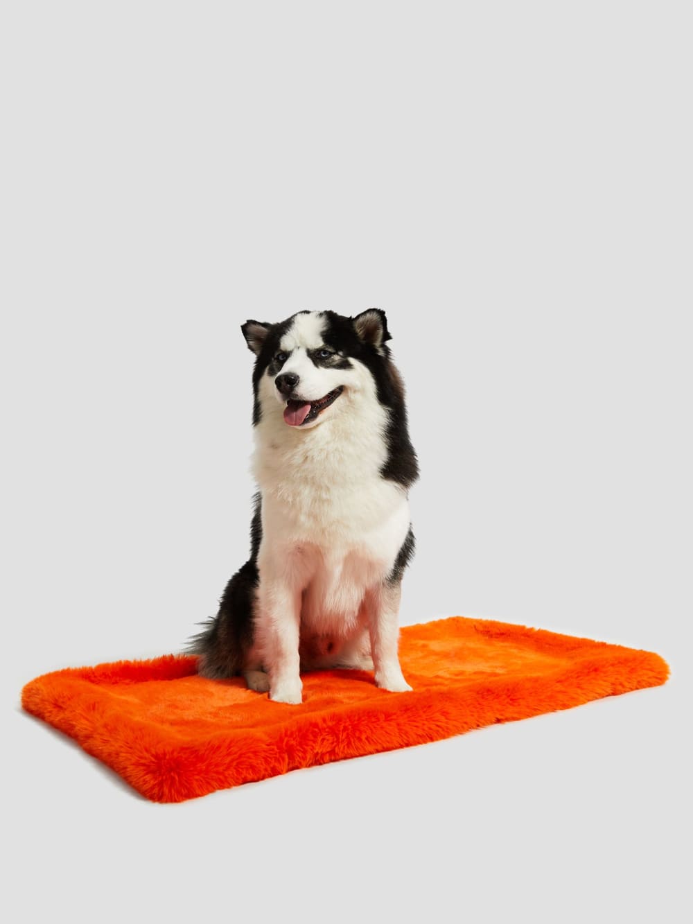 Faux-Fur Pet Carpet - Guess