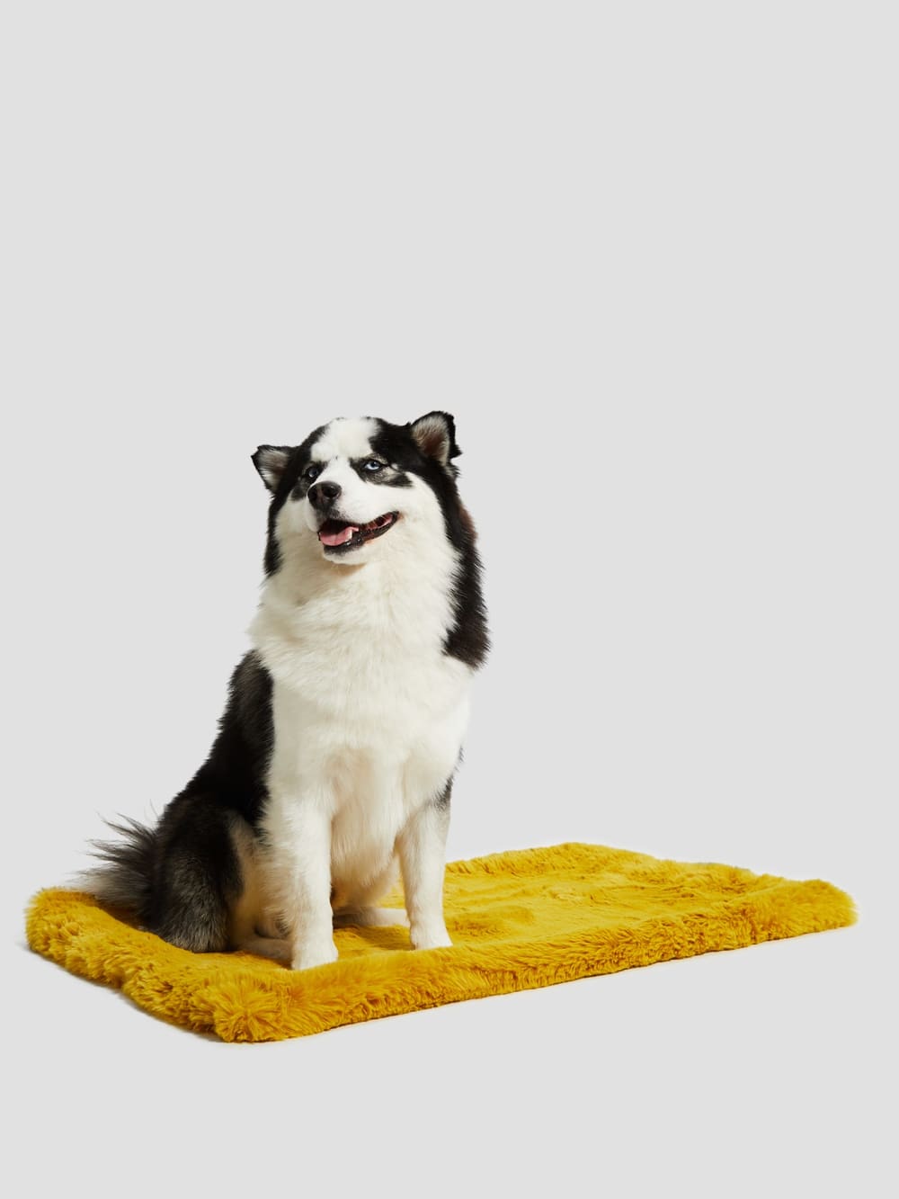 Faux-Fur Pet Carpet - Guess