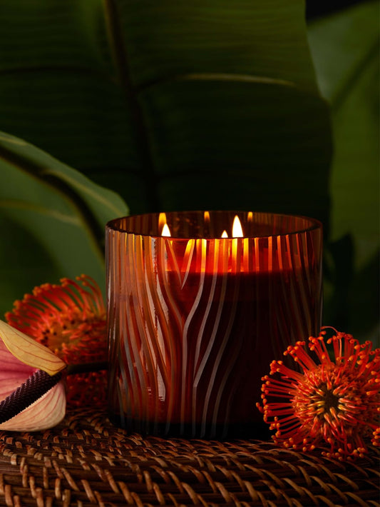 Zebra Candle - Guess