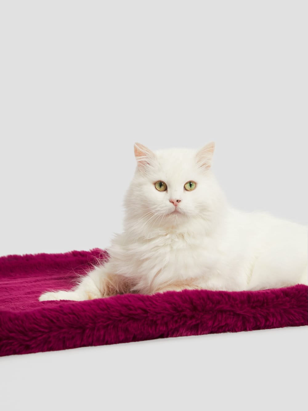 Faux-Fur Pet Carpet - Guess