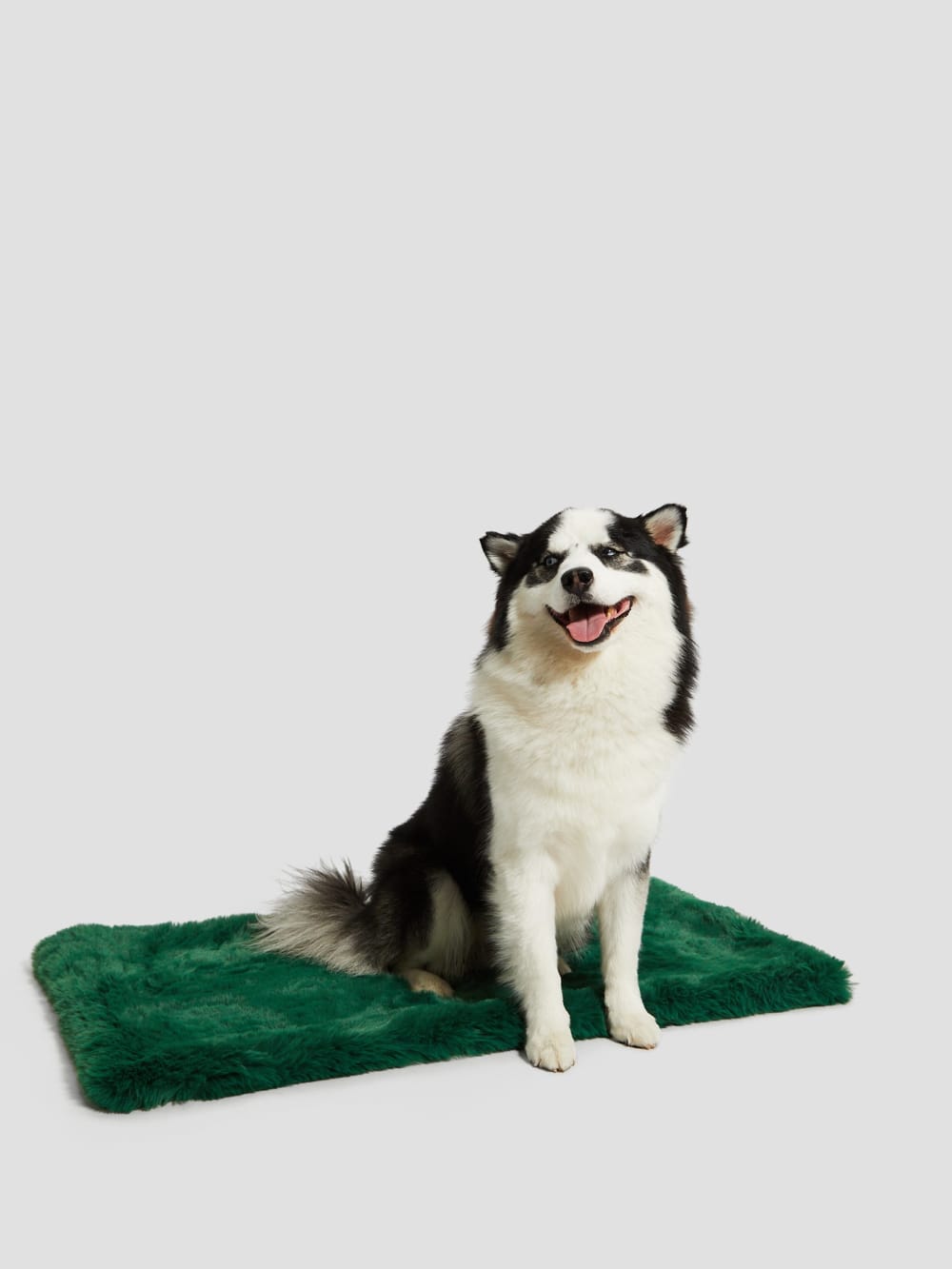Faux-Fur Pet Carpet - Guess