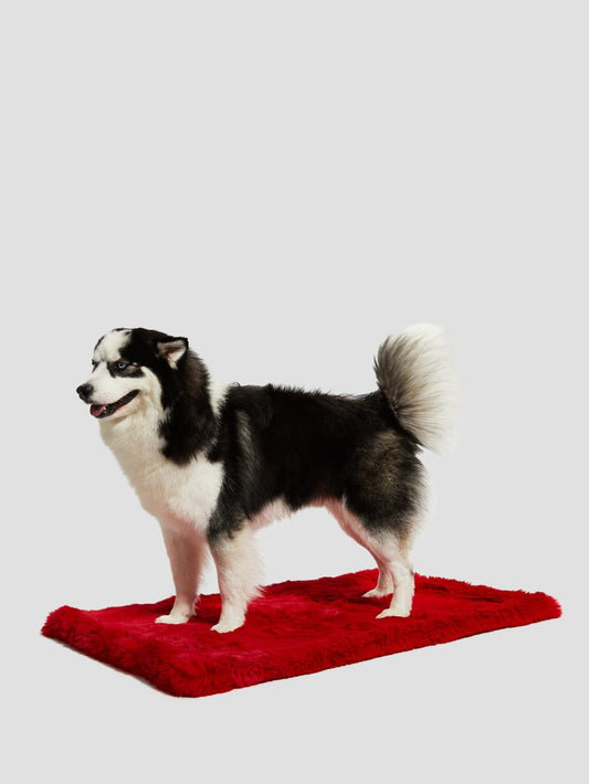 Faux-Fur Pet Carpet - Guess