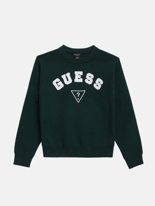 Phoenix Crewneck Sweater (7-16) - Guess