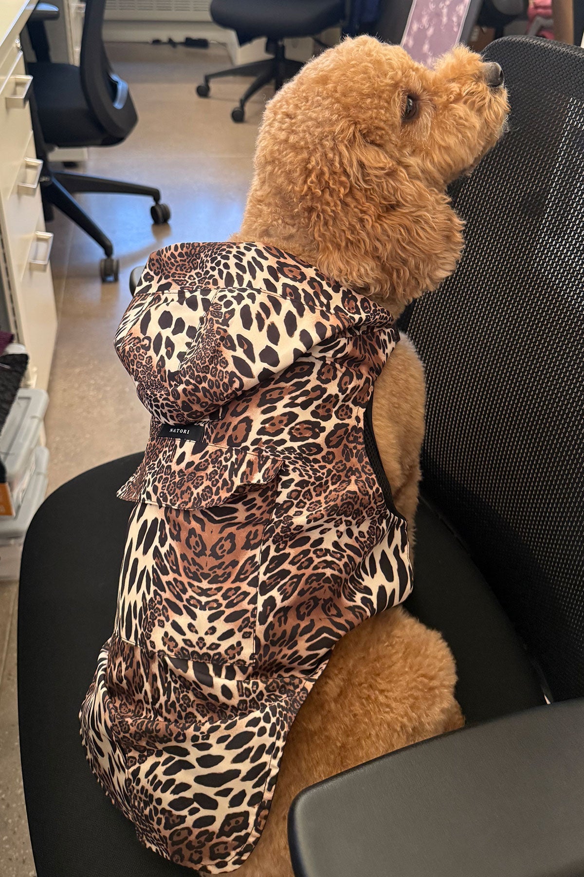 NATORI Luxe Leopard Raincoat