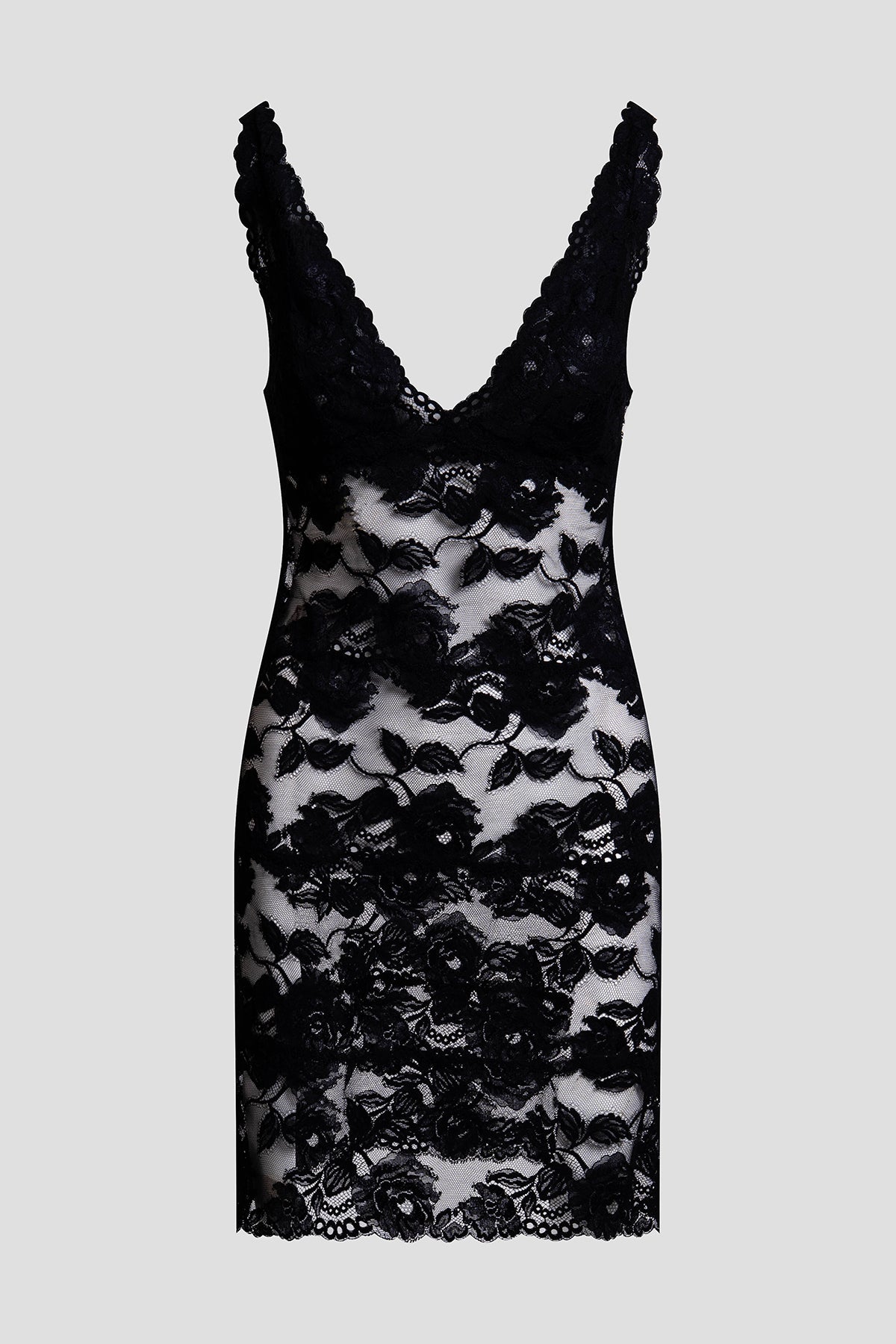 NATORI Buy Imagine Allover Lace Chemise in Black Online