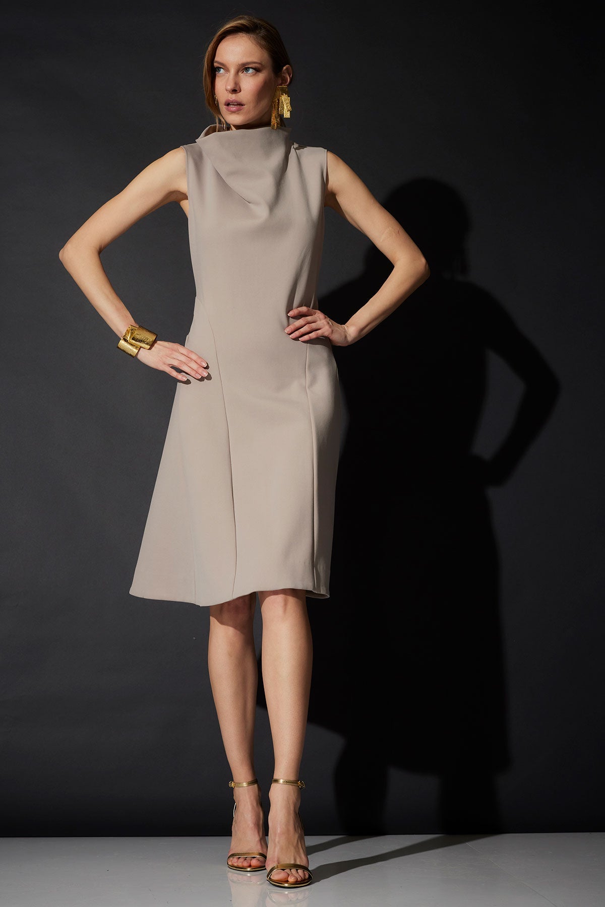 NATORI Techno Crepe Fit & Flare Funnel Neck Dress