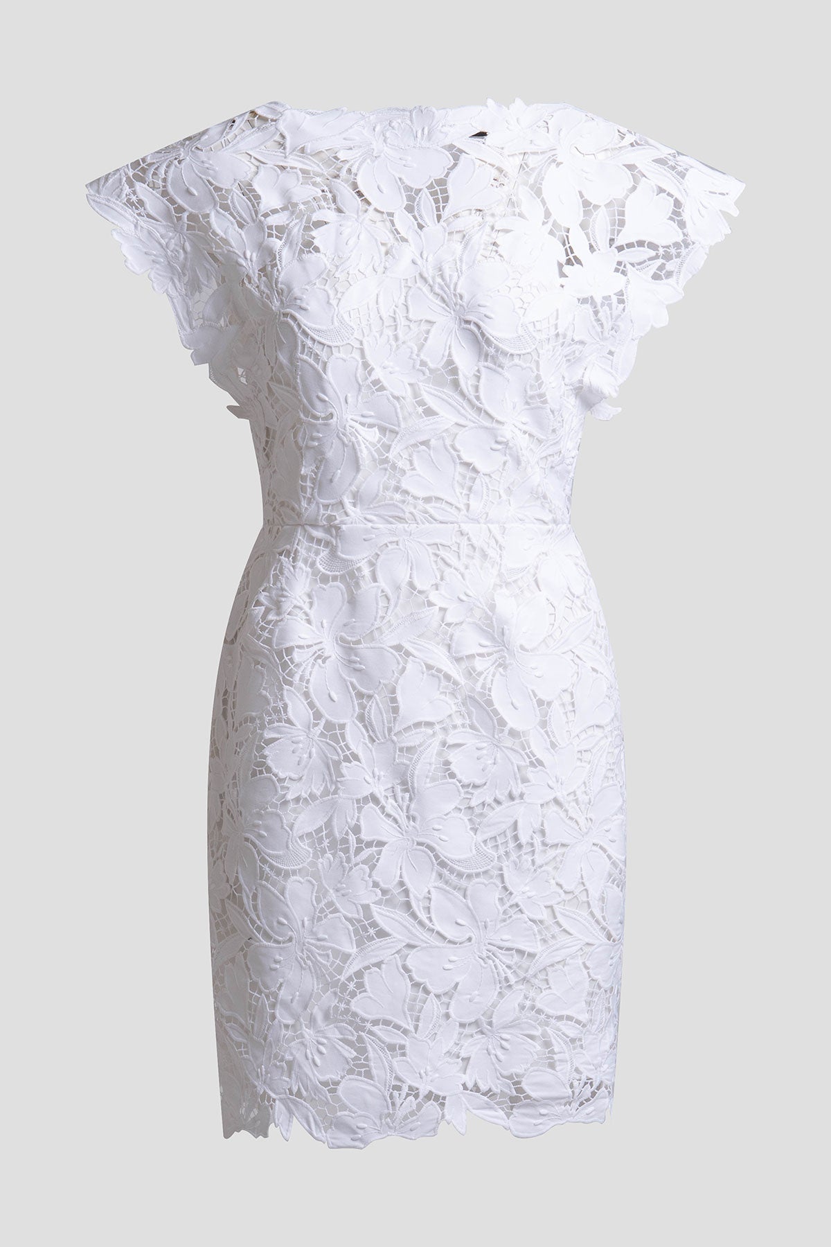 NATORI Peony Floral Lace Mini Dress